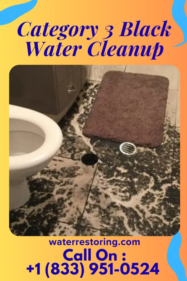 Category 3 Black Water Cleanup in Pepperdine University, CA